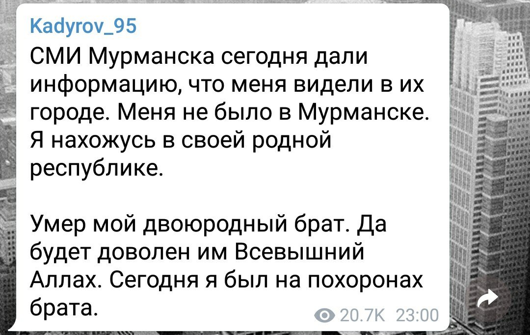 Двоюродный брат приехал в гости