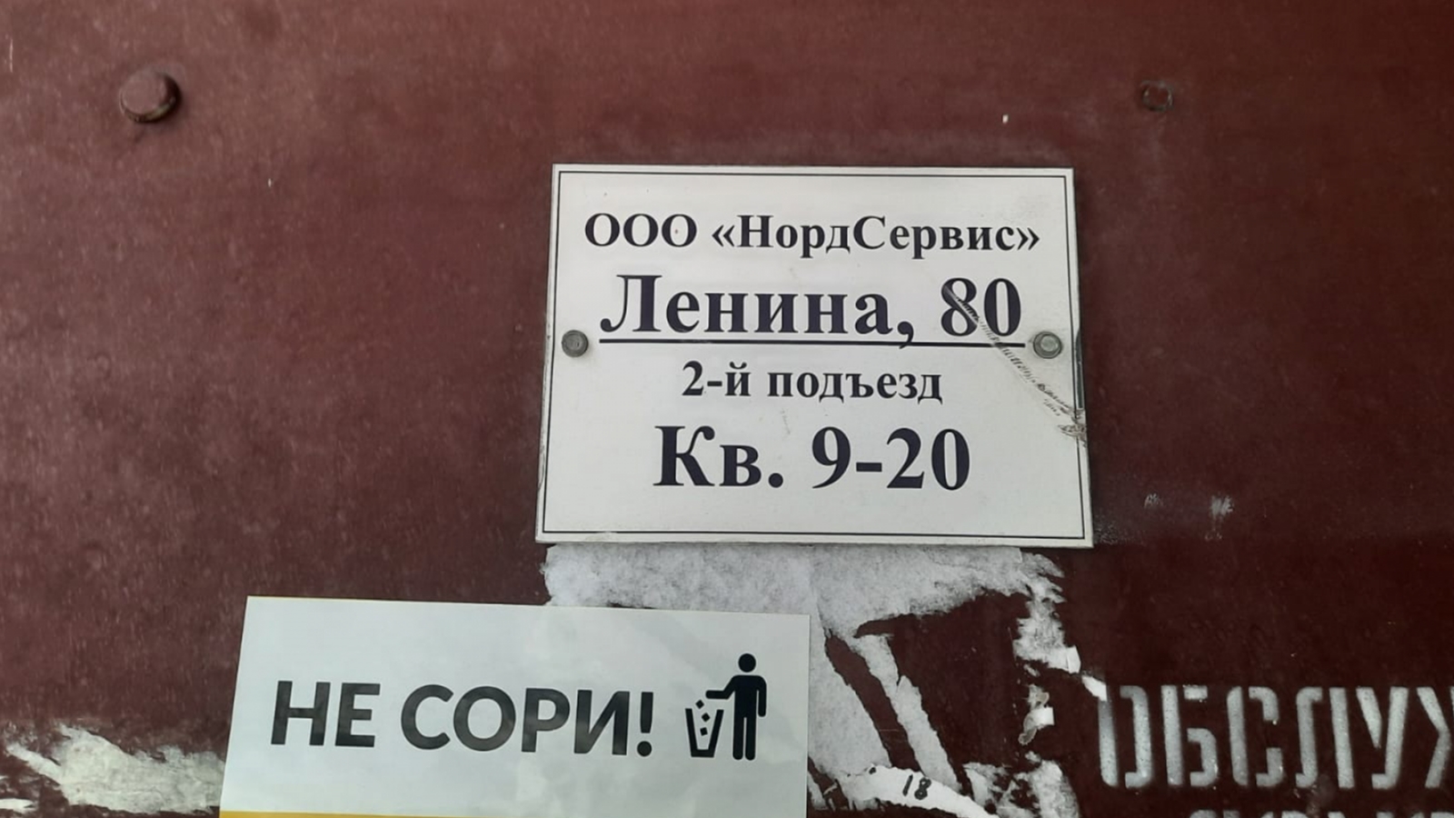 Жители Апатитов жалуются на засилье крыс. Администрация их не видит [видео]  - Мурманское Информационное агентство СеверПост.ru