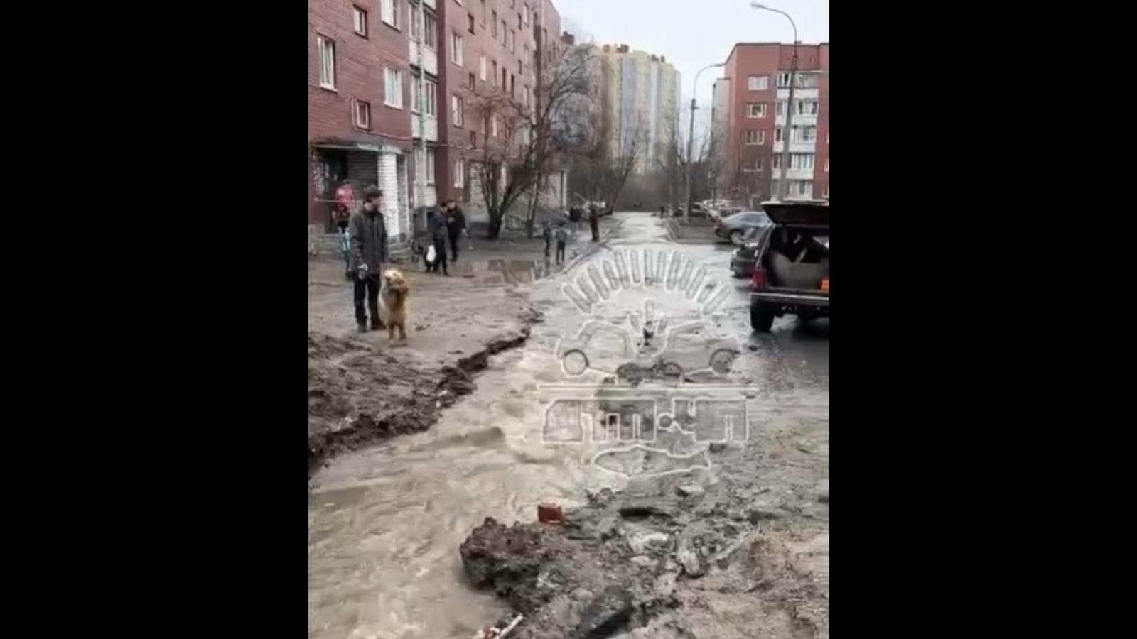 В Мурманске водитель сбил ребёнка на велосипеде [видео] - Мурманское  Информационное агентство СеверПост.ru