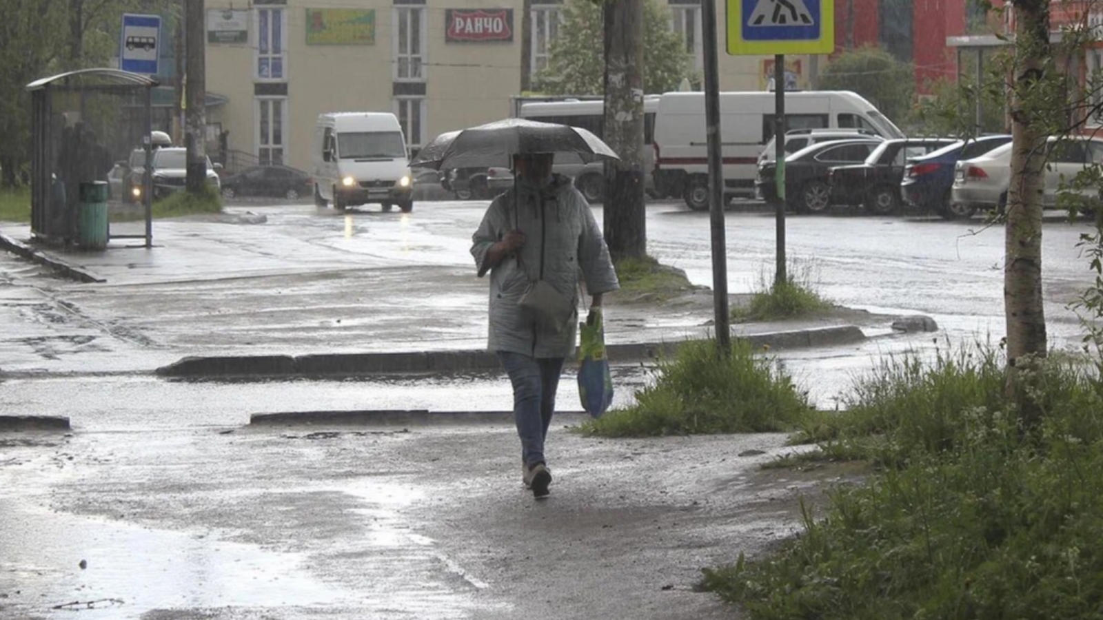 Северянам пояснили, почему совы прилетают в города и посёлки - Мурманское  Информационное агентство СеверПост.ru