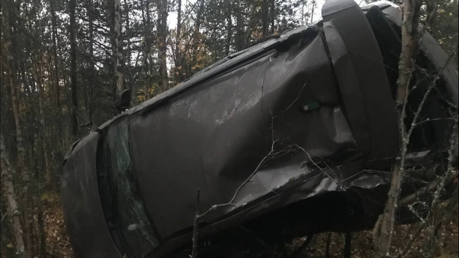 Водитель вылетевшего в кювет автомобиля в Заполярье скончался в больнице -  Мурманское Информационное агентство СеверПост.ru