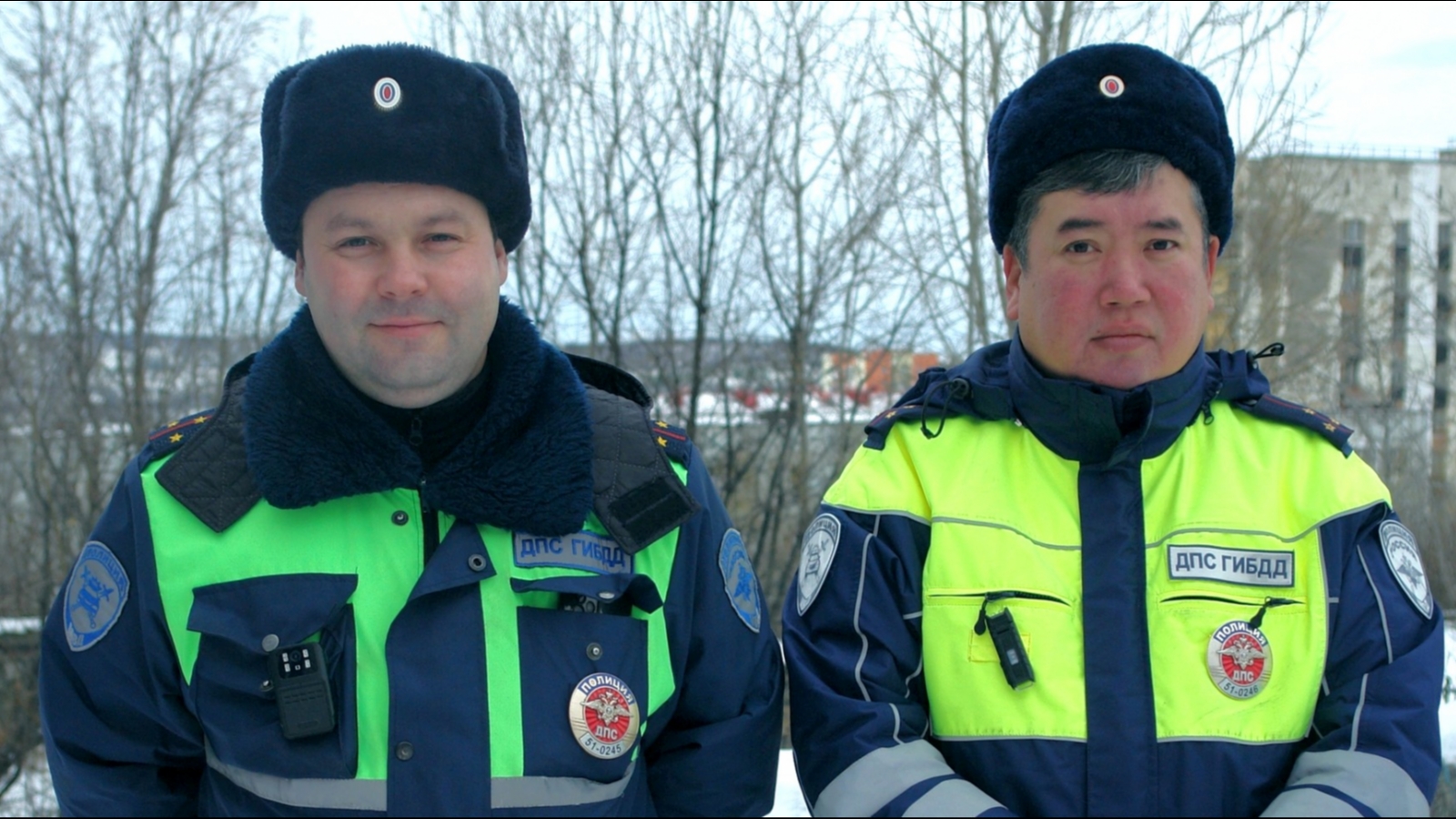 В Североморске полицейским пришлось с «мигалками» провожать лошадь -  Мурманское Информационное агентство СеверПост.ru