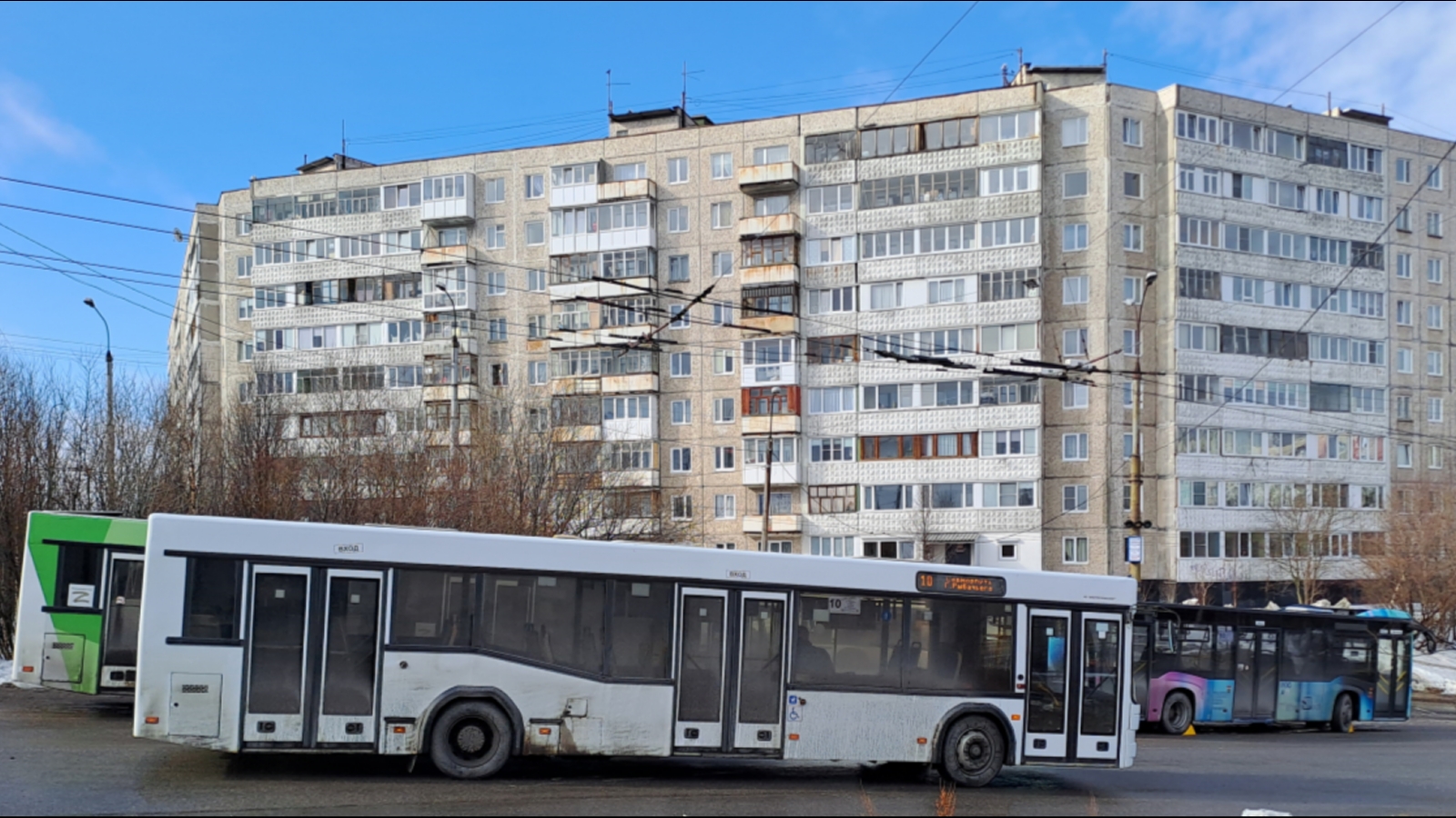 Две собаки погибли при пожаре в доме Кандалакши - Мурманское Информационное  агентство СеверПост.ru