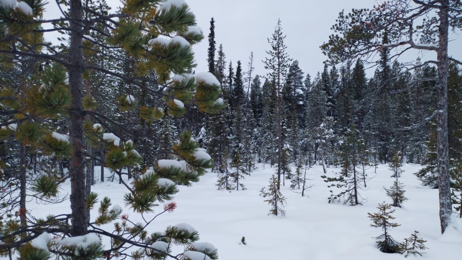 погода кировский крым. погода в мурманске сейчас. бумажные карты мурманска. норвежский сайт погоды в кировске мурманская обл. норвежский сайт погоды в кировске мурманская обл.