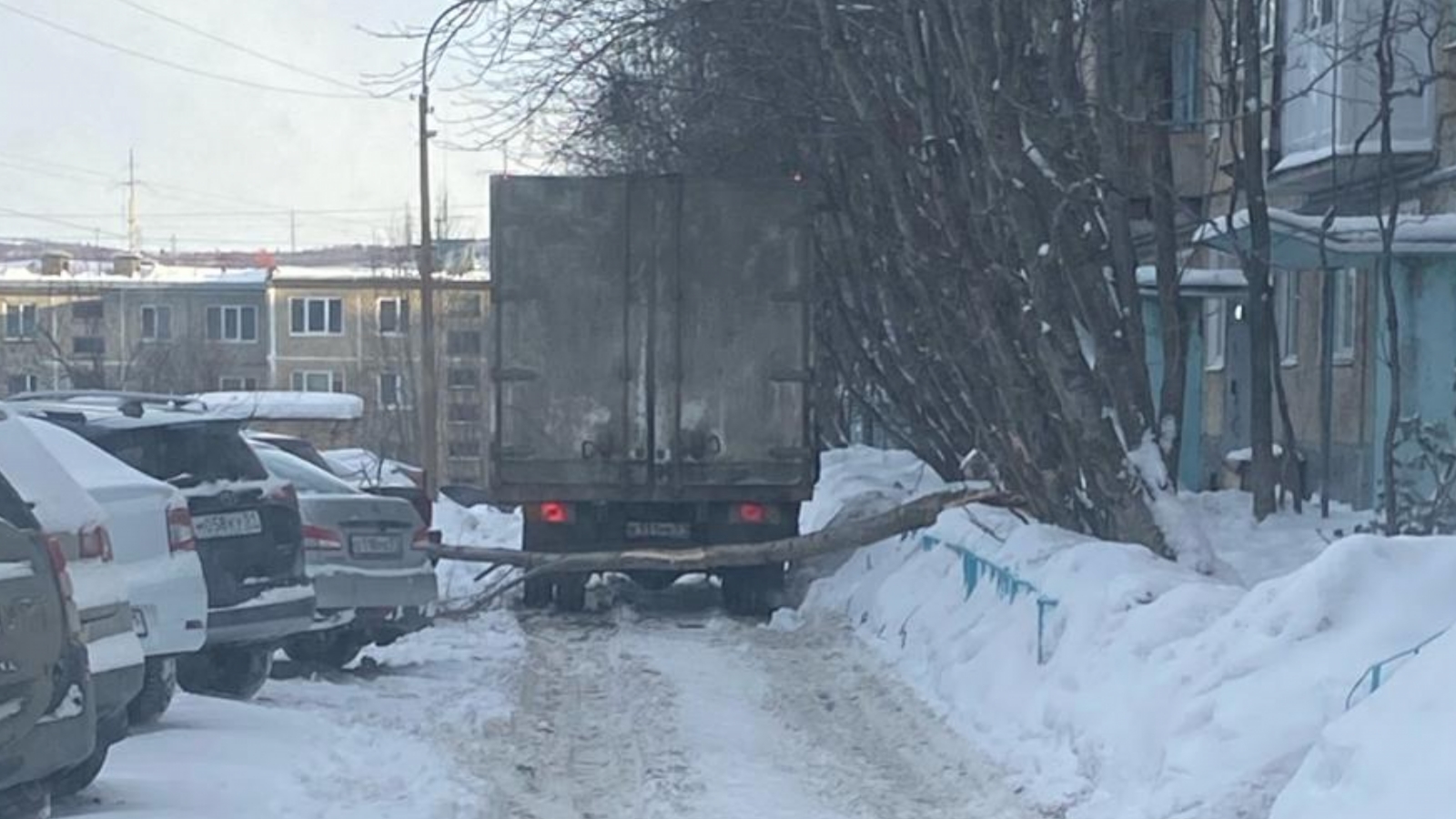 Муниципальное учреждение Кандалакши заплатит за повреждённый деревом  автомобиль - Мурманское Информационное агентство СеверПост.ru