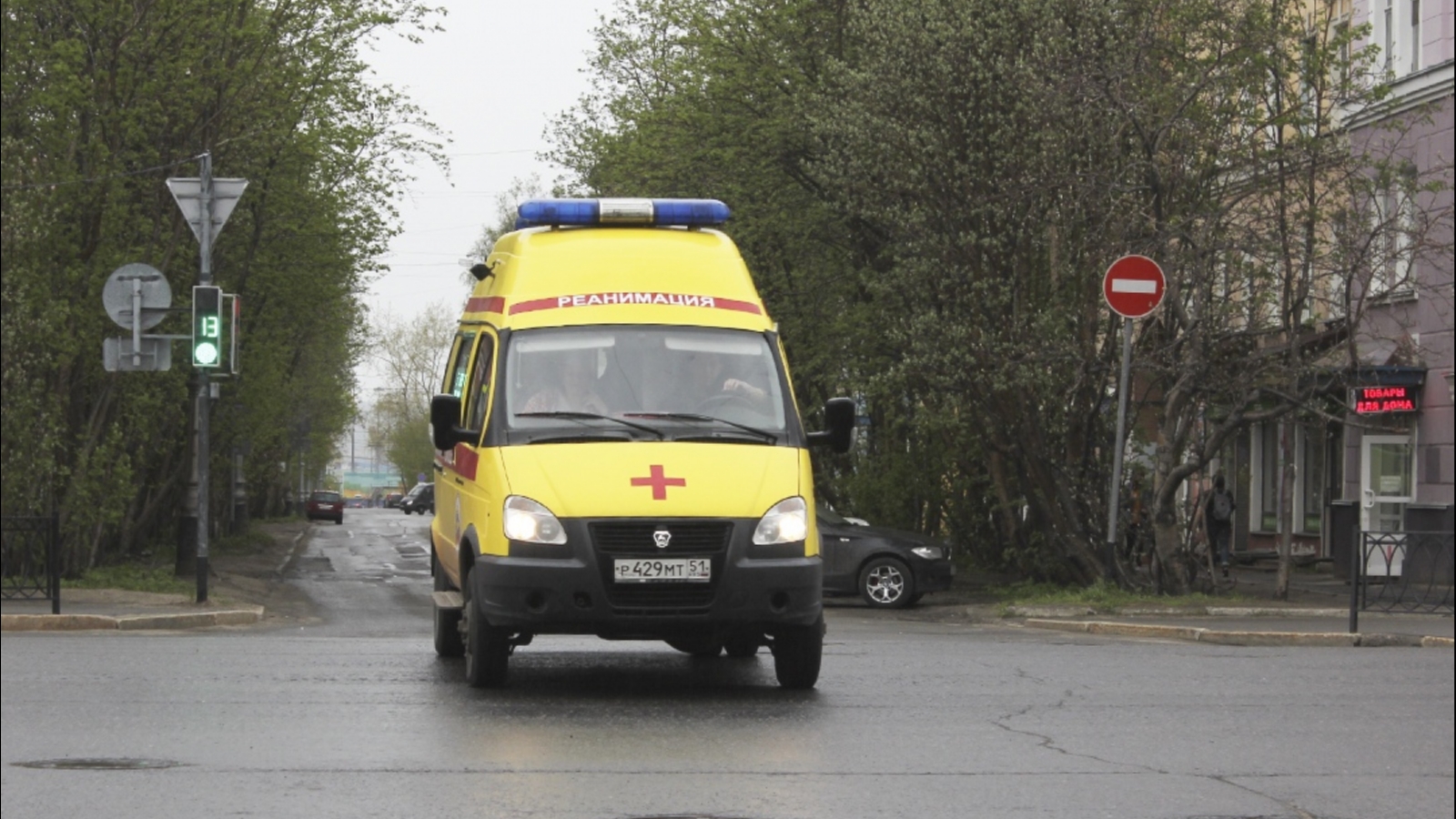 В Североморске возбудили дело после смерти собаки в заброшенном бункере -  Мурманское Информационное агентство СеверПост.ru